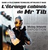 L'étrange Cabinet de Mr Tib - 