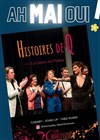 Histoires de Q - 