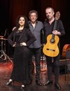 Flamenco Vivo... 3 Generaciones ! - 