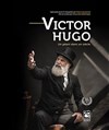 Victor Hugo, Un géant dans un siècle - 