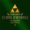 Echos d'Hyrule | Bayonne - 