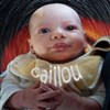 Caillou - 