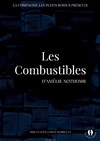 les combustibles - 