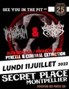 Pyrexia + Cerebral Extinction - 