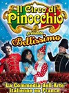 Il Circo di Pinocchio - 