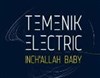 Temenik Electric - 