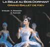 La belle au bois dormant - 