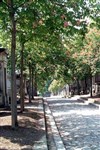 Visite-guidée : Cimetière du Père-Lachaise - 