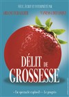 Délit de grossesse - 