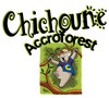 Chichoune Accroforest | Accrobranche - 