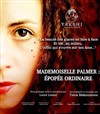 Mademoiselle Palmer : épopée ordinaire - 