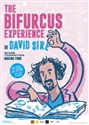 The Bifurcus Experience - 