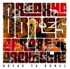 Break Ya Bones Afrobeat Orchestra - 