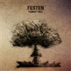 Festen - 