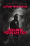 David Hallyday : Requiem pour un fou | Nancy - 