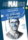 Yohann Métay dans Le Sublime Sabotage - 