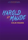 Harold et Maude - 