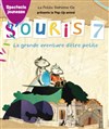 Souris 7 - 