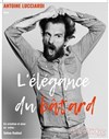 Antoine Lucciardi dans L'élégance du batard - 