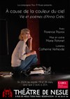 A cause de la couleur du ciel, Vie et poèmes d'Anna Gréki - 