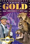 Cirque Gold - L'histoire d'un rêve | - Marseille - 