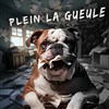 Plein la gueule - 