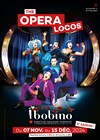 The Opera Locos - 