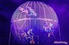 Le Cirque Maximum dans Happy Birthday | - Marvejols - 