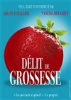 Délit de grossesse - 