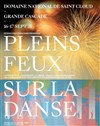 Pleins feux sur la danse | spectacle de pyrotechnie - 