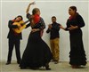 Vuelo flamenco - 