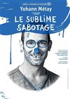 Yohann Métay dans Le sublime sabotage - 