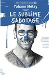 Yohann Métay dans Le sublime sabotage - 