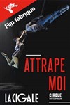 Flip Fabrique dans Attrape-moi - 