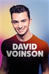 David Voinson - 