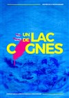 Un Lac de Cygnes - 