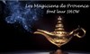 Les magiciens de Provence font leur show - 