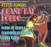 Festa Junina | Grand bal forro - 