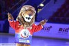 LHC Les Lions/Chamonix - 