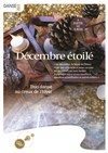 Décembre étoilé - 