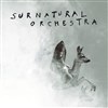 Surnatural Orchestra - 