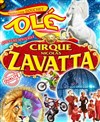 Cirque Nicolas Zavatta Douchet | Les Herbiers - 