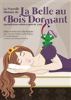 La Nouvelle Histoire de La Belle au Bois Dormant - 