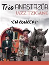 Trio Anastazör - 