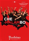 Che Malambo - 