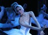 Le Lac des Cygnes | Grand Ballet et Etoiles Opéra de Kazan - 