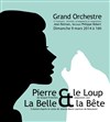 Pierre et le loup - 