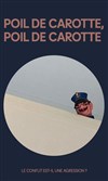 Poil de carotte - 