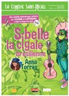 Sibelle, la cigale brésilienne - 