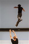 Acrobates - 